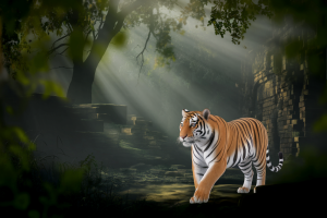 Parc Ranthambore : Découverte du Sanctuaire des Tigres en Inde